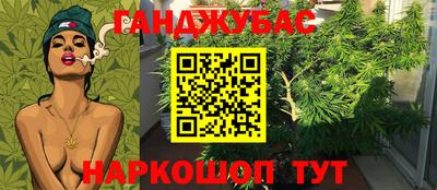 стаф Ливны