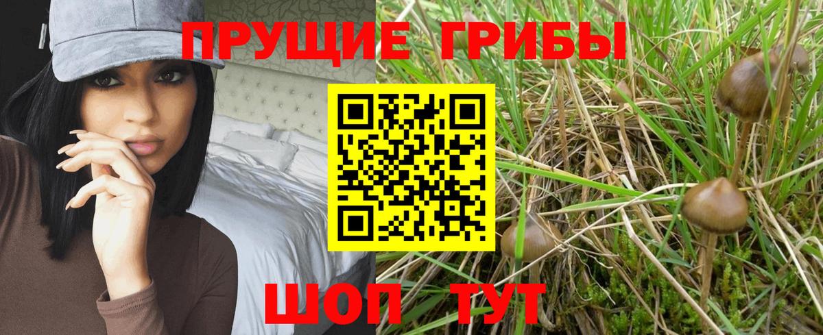 наркота  Галлюциногенные грибы Psilocybe  Вход с VPN  Усинск  Псилоцибиновые грибы мицелий 